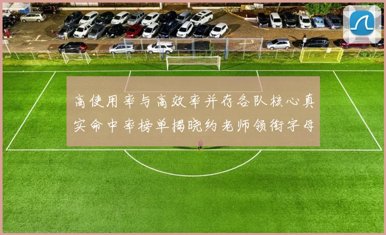 高使用率与高效率并存各队核心真实命中率榜单揭晓约老师领衔字母紧随其后