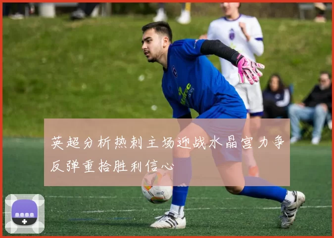 英超分析热刺主场迎战水晶宫力争反弹重拾胜利信心